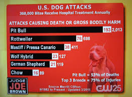 Judge Joe Browns Chart Of Pitbull And Dangerous Dog Attacks