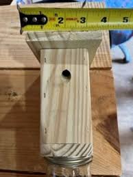 pressure treated carpenter bee traps