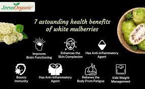 nutrition benefits of white mulberry