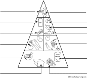A healthy eating pattern encompasses all the food groups, including fruits and vegetables, grains, proteins, dairy, and oils. Food Groups And Food Pyramid Food Theme Page At Enchantedlearning Com