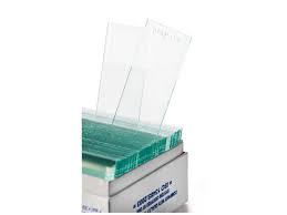 microscope slides cut edge frosted