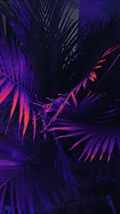Aesthetics digital wallpaper, vaporwave, kanji, chinese characters. Blue And Purple Aesthetic Wallpapers Top Free Blue And Purple Aesthetic Backgrounds Wallpaperaccess