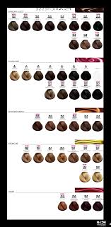 10 Timeless Loreal Professionnel Color Chart