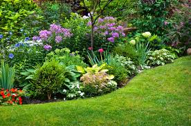 Annuals Vs Perennials Planning Your