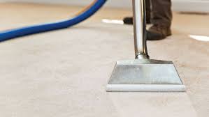 delivers carpet cleaning services