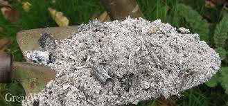 They contain lots of calcium, which neutralizes acidity, plus some potassium, phosphorus, and trace elements. Using Wood Ash In The Vegetable Garden