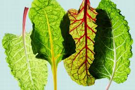 what is swiss chard
