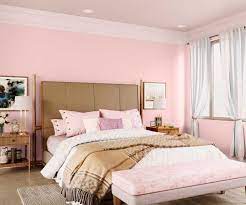 Nursery Pink 8058 House Wall Painting