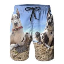 Creative Dogs Great Dane Dog Design Beach Shorts For Mens