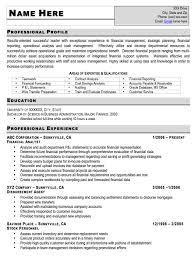 Assistant Principal Resumes It Resume Sample Assistant