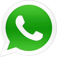 Technology: WhatsApp begins the era of the GIF!