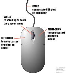 Image Result For Diagram Of The Computer Mouse Computer