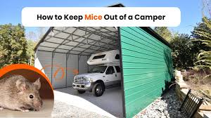 How To Keep Mice Out Of Your Camper