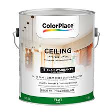 Colorplace Ceiling Interior Paint Flat