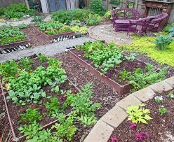 Plant A Full Shade Raised Garden Beds