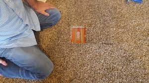 carpet renovations carpet repair in