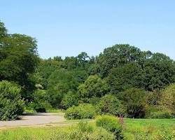 Image of Arnold Arboretum, Massachusetts