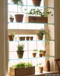 Diy Herb Garden Indoor Window Garden