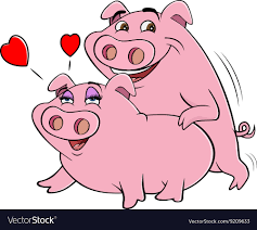 Pigs humping Royalty Free Vector Image - VectorStock
