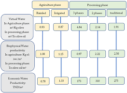 water accounting for food security