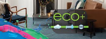 eco plus stain protection carpet