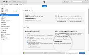 The program helps you to intelligently transfer your files from the ipod to the pc. So Erstellst Du Auf Dem Pc Mit Itunes Ein Backup Deines Iphone Ipad Oder Ipod Touch Apple Support De