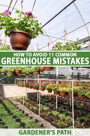 common greenhouse mistakes