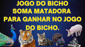 SOMA DO JOGO DO BICHO PARA GANHAR TODOS OS DIAS - Formando em Milhar,  Centenas, Grupos , duque etc