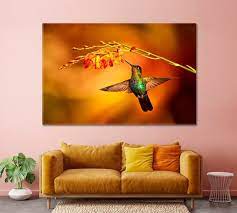 Hummingbird Canvas Print Home Wall Art