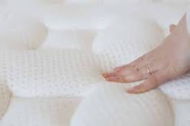 bed bugs live in memory foam mattresses