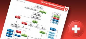 First Aid Evaluation Flowchart Health Fitness
