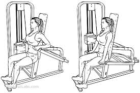 isted machine seated tricep dips