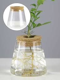 Creative Hydroponic Glass Flower Vase