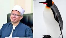 is-penguin-halal-in-islam