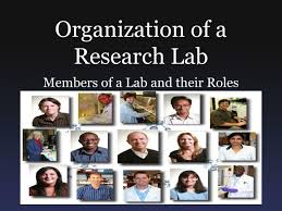 Ppt Organization Of A Research Lab Powerpoint Presentation Id