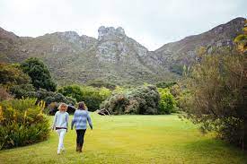 kirstenbosch national botanical garden