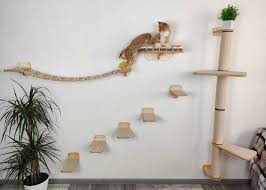 Cat Wall Climbing Systems 10 Cat Wall