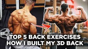 3d back 5 best back exercises