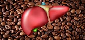 دور القهوة في مكافحة أمراض الكبد | المرسال