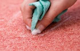 how to disinfect carpet in simple but