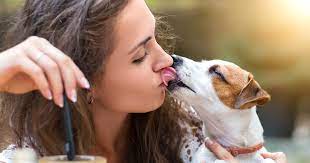 your dog lick