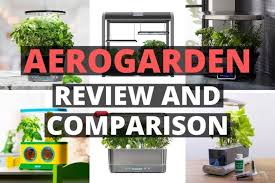 aerogarden review and comparison my