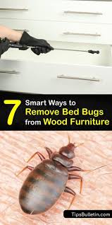 remove bed bugs from wood furniture