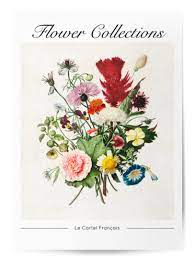 Affiche Flower Collections No.3 - Poster fleur vintage
