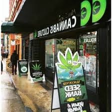 4.7 (47) los angeles, california. Find Weed Delivery North Vancouver Ca Hempyolo Com