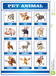 Pet Animal Chart Illustration 70015576 Megapixl