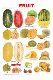 Fruit Chart 4