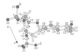 dna structure molecular biology