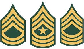 army enlisted promotions army nco support