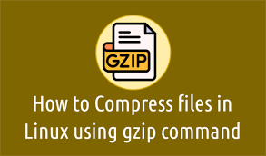 in linux using gzip command